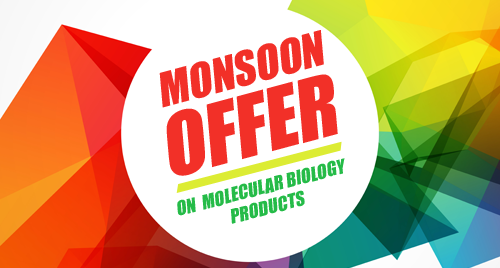Monsoon offer cover photo